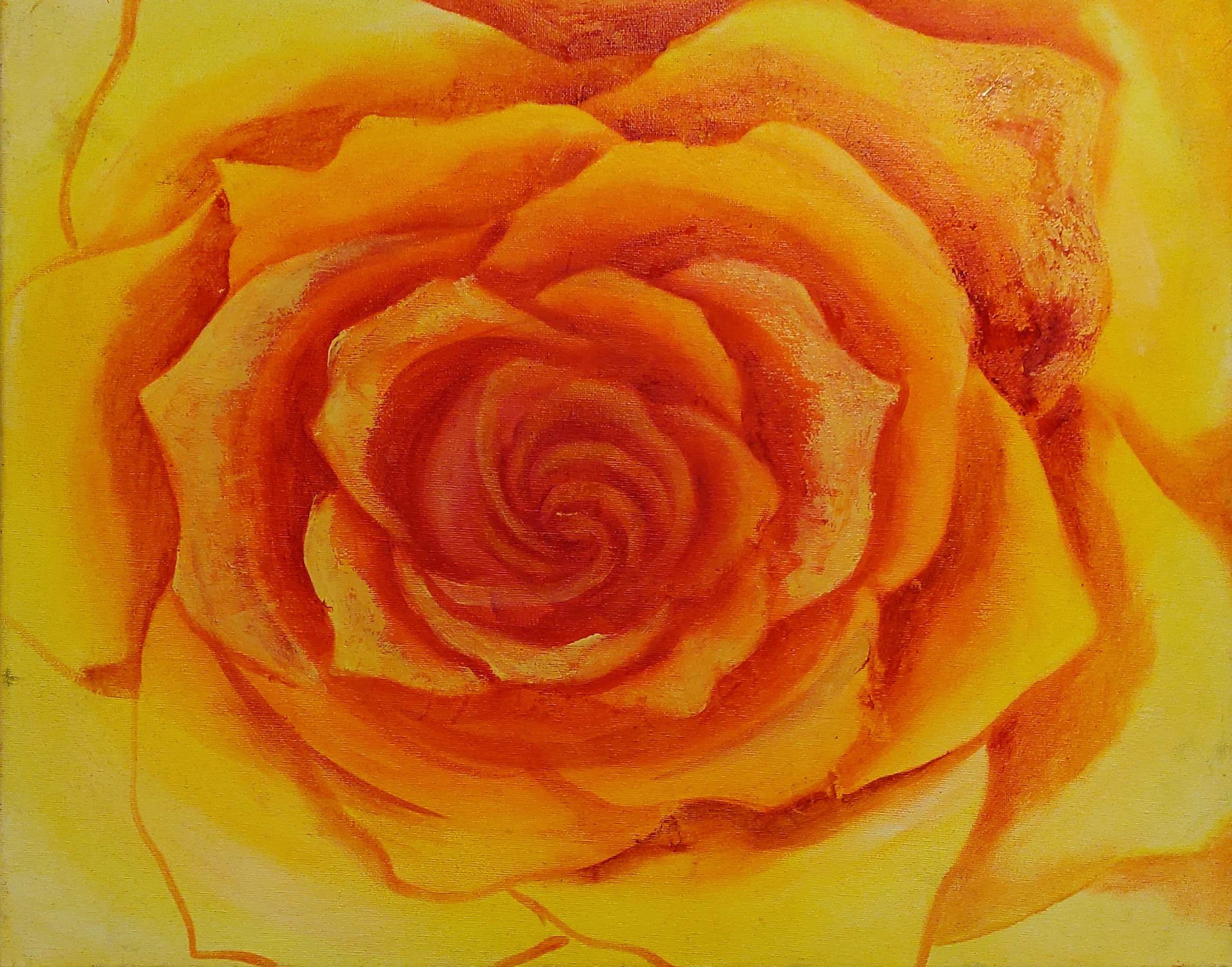 Rosa, oleo sobre lienzo, 39 x 49 cm, oleo sobre lienzo